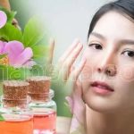 Aceite de Rosa Mosqueta Para Las Arrugas